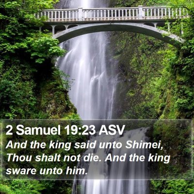 2 Samuel 19:23 ASV Bible Verse Image