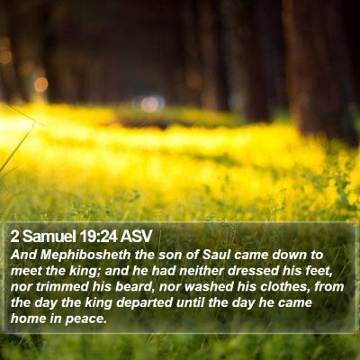 2 Samuel 19:24 ASV Bible Verse Image