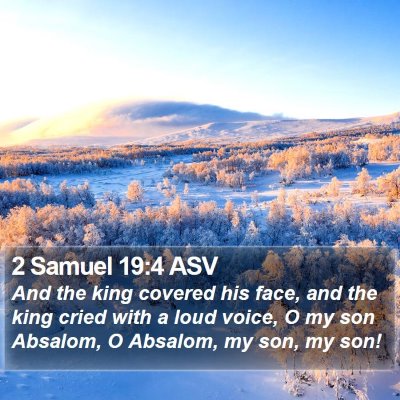 2 Samuel 19:4 ASV Bible Verse Image