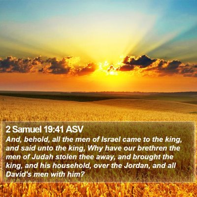 2 Samuel 19:41 ASV Bible Verse Image