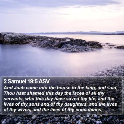 2 Samuel 19:5 ASV Bible Verse Image