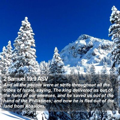 2 Samuel 19:9 ASV Bible Verse Image