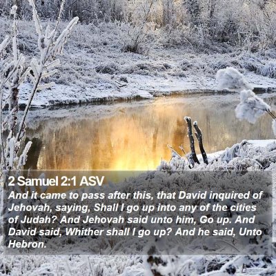 2 Samuel 2:1 ASV Bible Verse Image