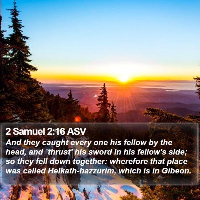 2 Samuel 2:16 ASV Bible Verse Image