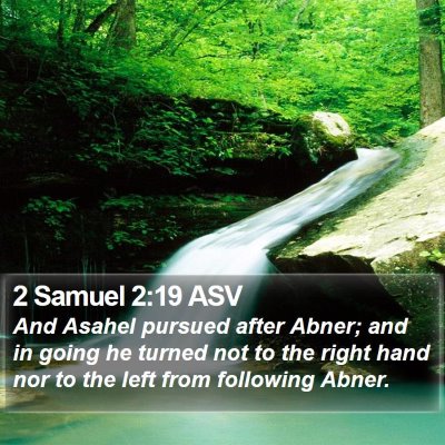 2 Samuel 2:19 ASV Bible Verse Image