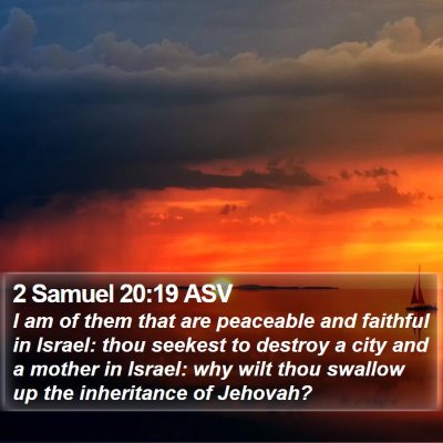 2 Samuel 20:19 ASV Bible Verse Image