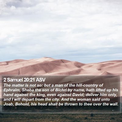 2 Samuel 20:21 ASV Bible Verse Image
