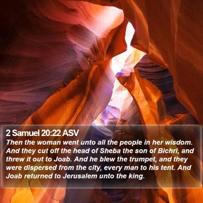 2 Samuel 20:22 ASV Bible Verse Image