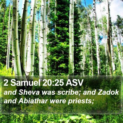 2 Samuel 20:25 ASV Bible Verse Image