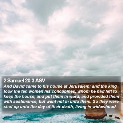 2 Samuel 20:3 ASV Bible Verse Image