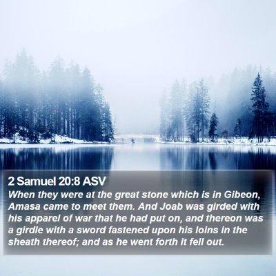2 Samuel 20:8 ASV Bible Verse Image