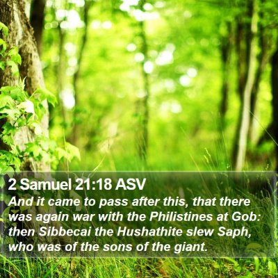2 Samuel 21:18 ASV Bible Verse Image