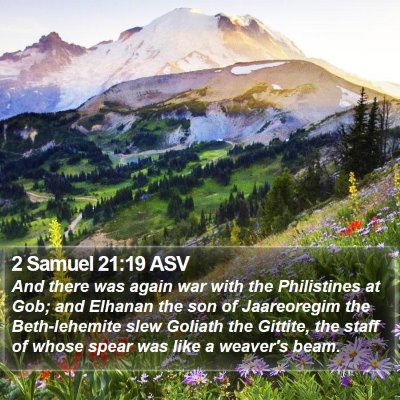 2 Samuel 21:19 ASV Bible Verse Image
