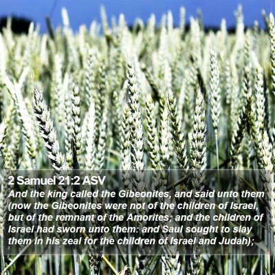 2 Samuel 21:2 ASV Bible Verse Image