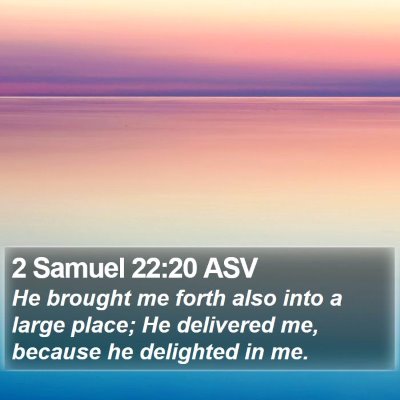 2 Samuel 22:20 ASV Bible Verse Image