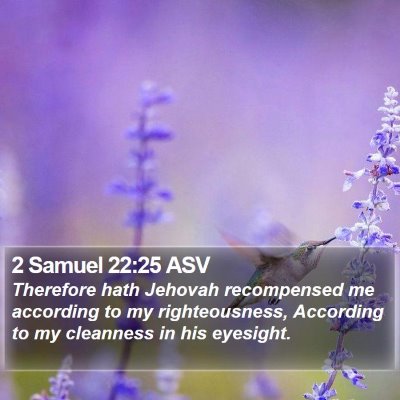 2 Samuel 22:25 ASV Bible Verse Image