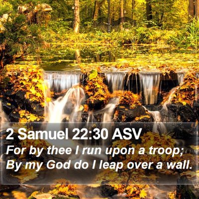 2 Samuel 22:30 ASV Bible Verse Image
