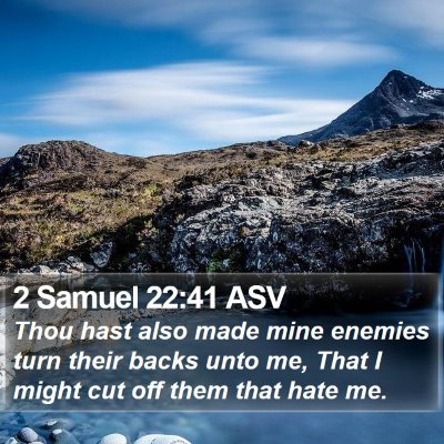 2 Samuel 22:41 ASV Bible Verse Image