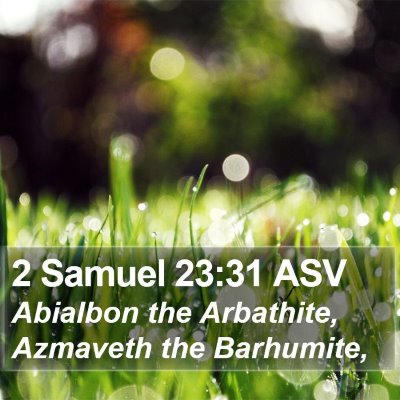 2 Samuel 23:31 ASV Bible Verse Image