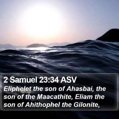 2 Samuel 23:34 ASV Bible Verse Image