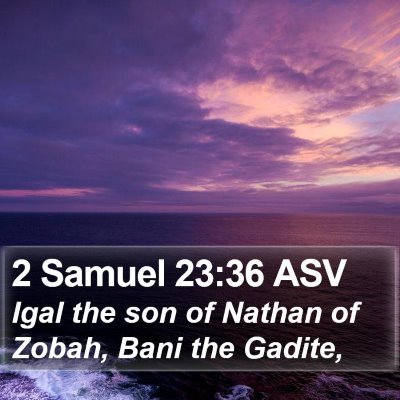 2 Samuel 23:36 ASV Bible Verse Image