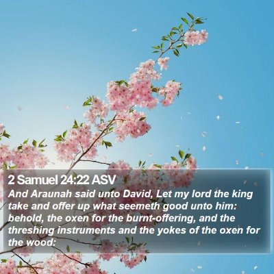 2 Samuel 24:22 ASV Bible Verse Image