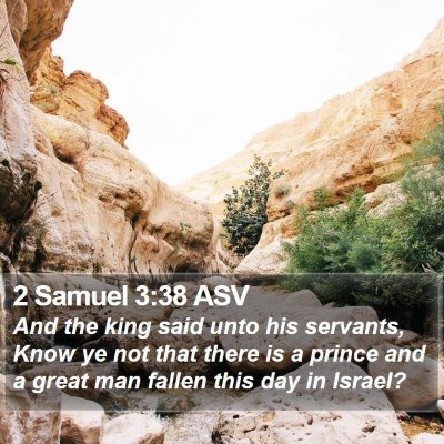 2 Samuel 3:38 ASV Bible Verse Image