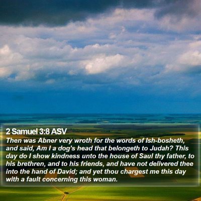 2 Samuel 3:8 ASV Bible Verse Image