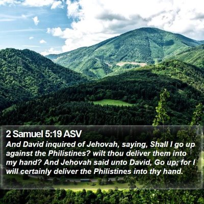 2 Samuel 5:19 ASV Bible Verse Image