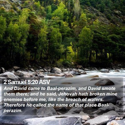 2 Samuel 5:20 ASV Bible Verse Image