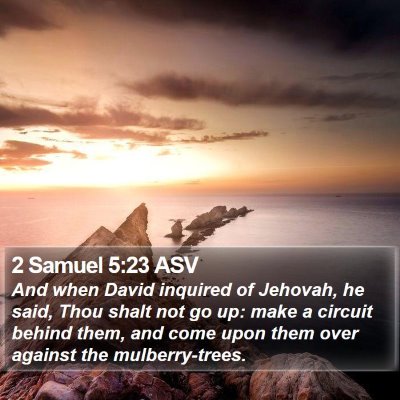 2 Samuel 5:23 ASV Bible Verse Image