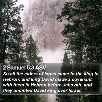 2 Samuel 5:3 ASV Bible Verse Image