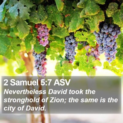 2 Samuel 5:7 ASV Bible Verse Image