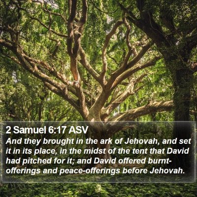 2 Samuel 6:17 ASV Bible Verse Image