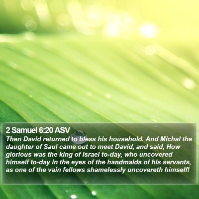 2 Samuel 6:20 ASV Bible Verse Image