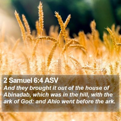 2 Samuel 6:4 ASV Bible Verse Image