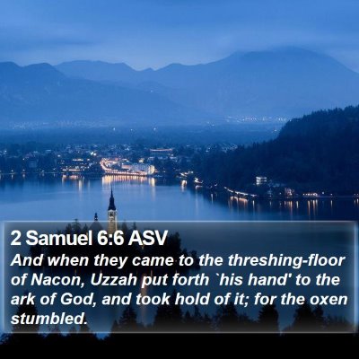 2 Samuel 6:6 ASV Bible Verse Image