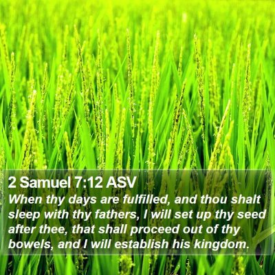 2 Samuel 7:12 ASV Bible Verse Image
