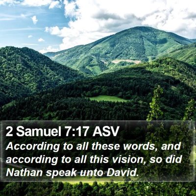 2 Samuel 7:17 ASV Bible Verse Image