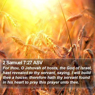 2 Samuel 7:27 ASV Bible Verse Image