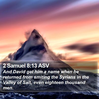 2 Samuel 8:13 ASV Bible Verse Image