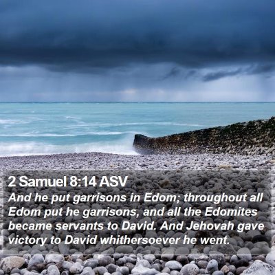 2 Samuel 8:14 ASV Bible Verse Image