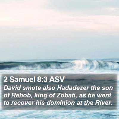2 Samuel 8:3 ASV Bible Verse Image