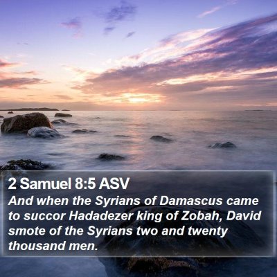 2 Samuel 8:5 ASV Bible Verse Image