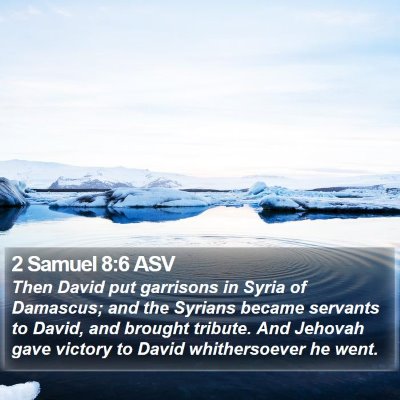 2 Samuel 8:6 ASV Bible Verse Image