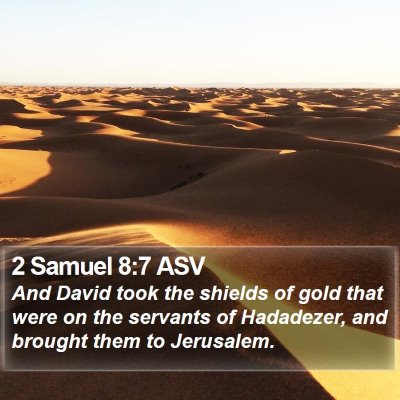 2 Samuel 8:7 ASV Bible Verse Image
