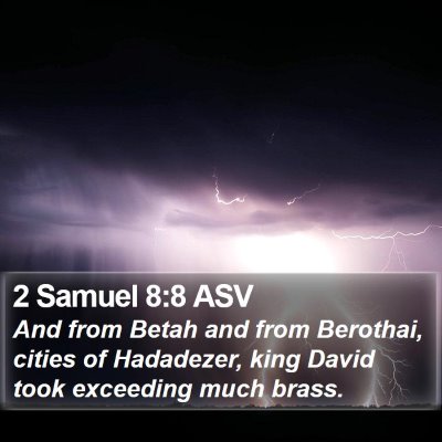 2 Samuel 8:8 ASV Bible Verse Image
