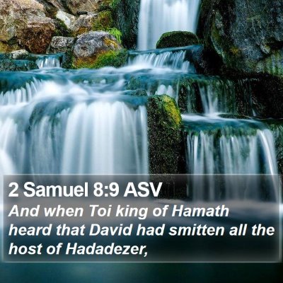 2 Samuel 8:9 ASV Bible Verse Image