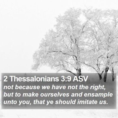 2 Thessalonians 3:9 ASV Bible Verse Image