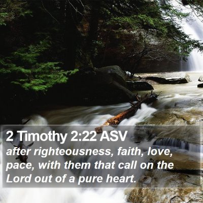 2 Timothy 2:22 ASV Bible Verse Image